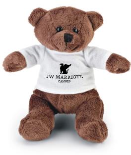 Cuddly bear with personalized T Shirt